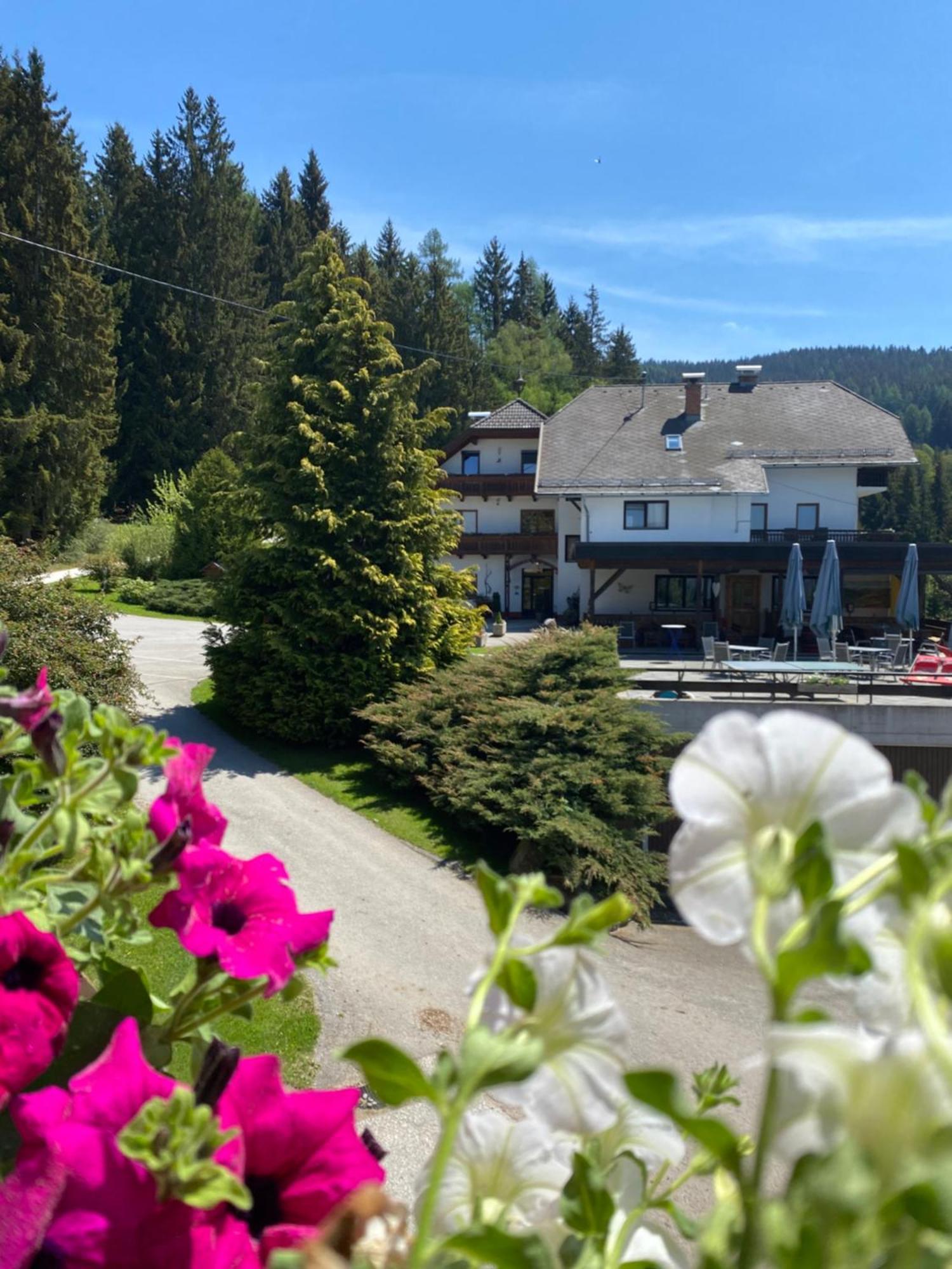 Forellenwirt Bacher Kirchberg  Екстериор снимка